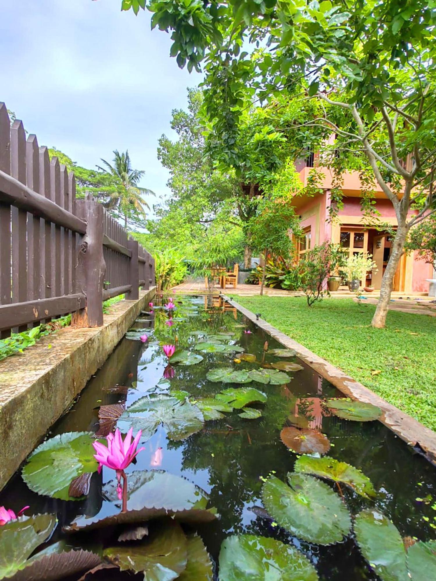 Art Yala Boutique Resort Tissamaharama Kültér fotó