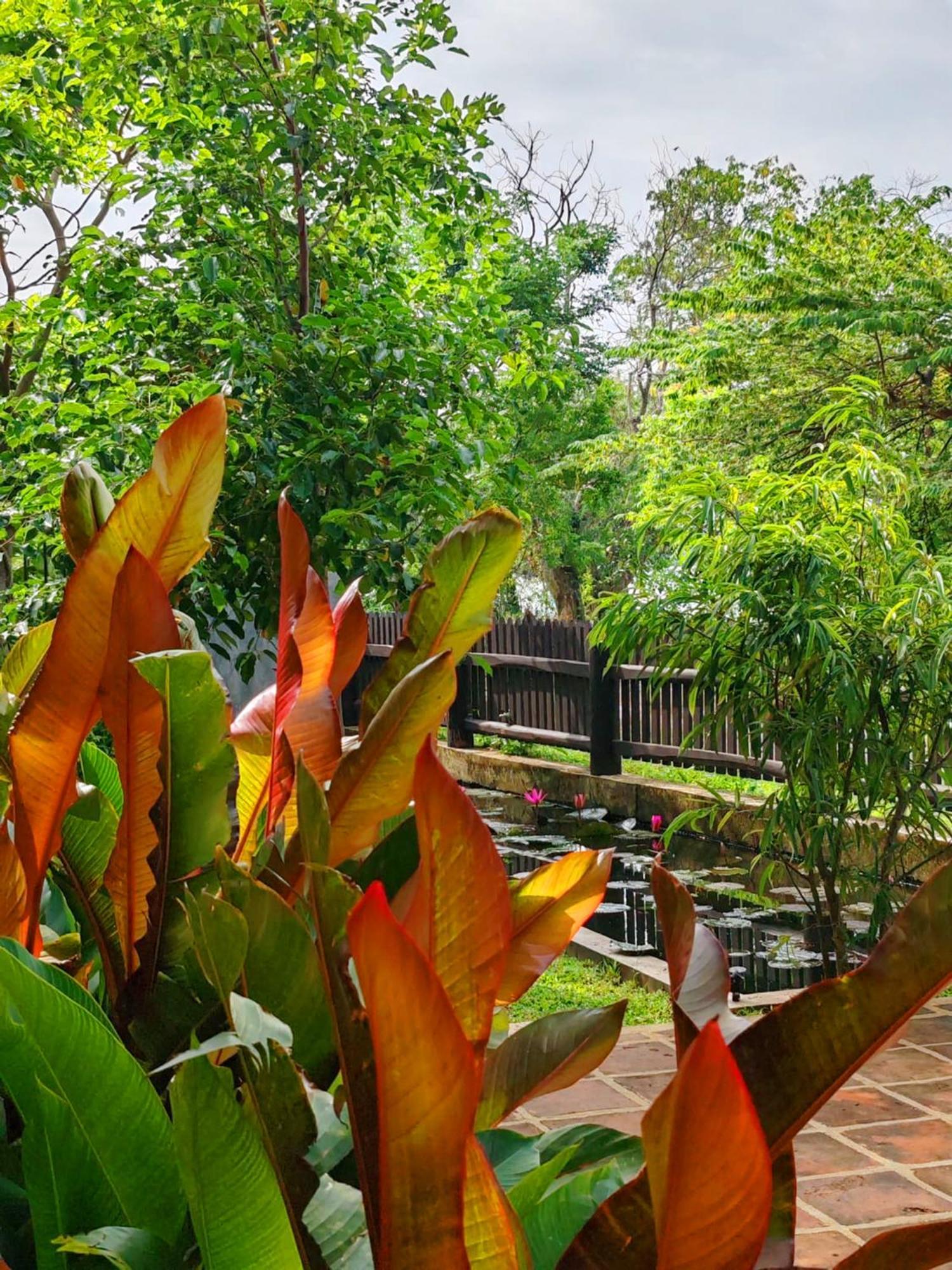 Art Yala Boutique Resort Tissamaharama Kültér fotó