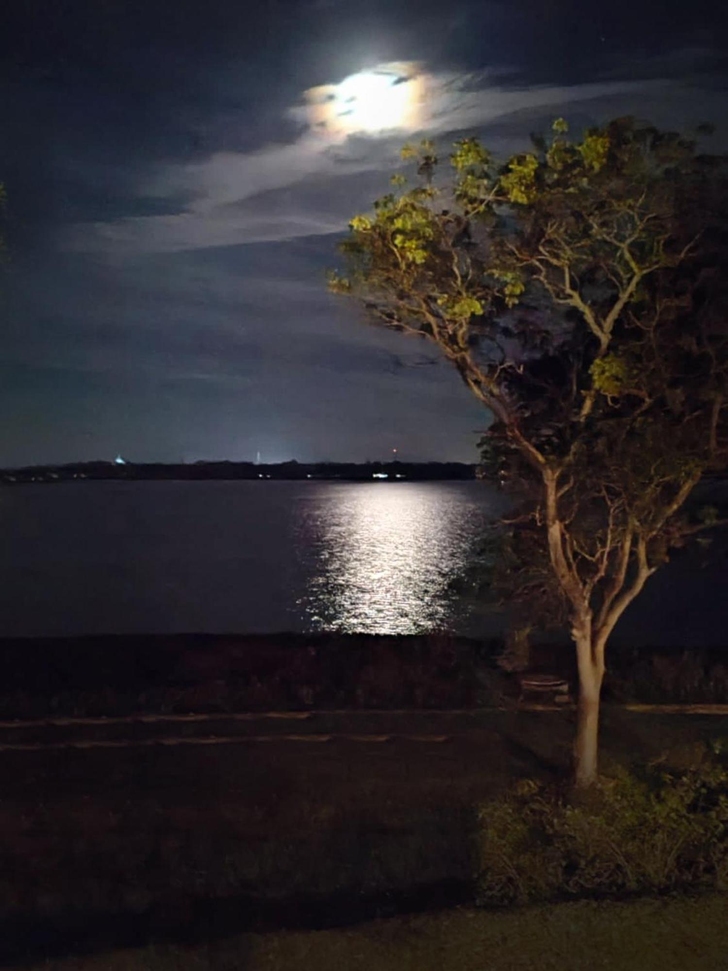 Art Yala Boutique Resort Tissamaharama Kültér fotó