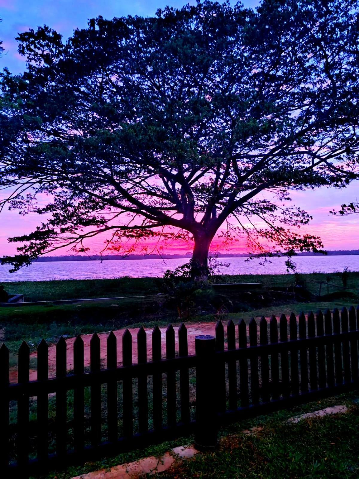 Art Yala Boutique Resort Tissamaharama Kültér fotó