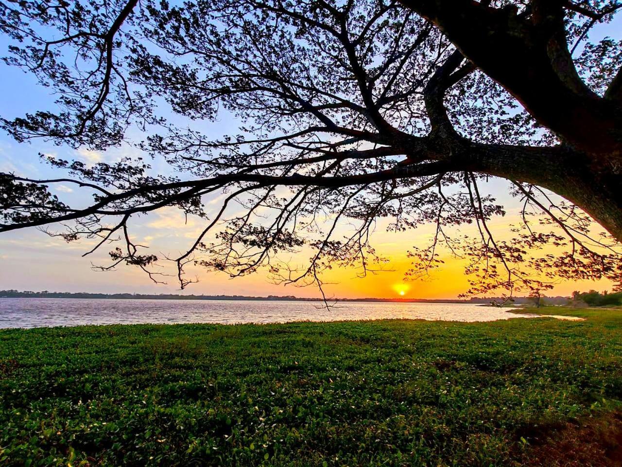 Art Yala Boutique Resort Tissamaharama Kültér fotó